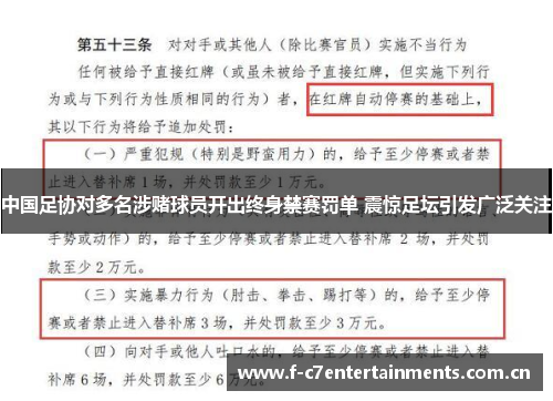中国足协对多名涉赌球员开出终身禁赛罚单 震惊足坛引发广泛关注