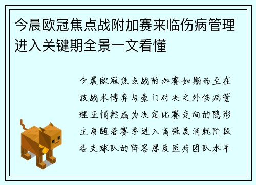 今晨欧冠焦点战附加赛来临伤病管理进入关键期全景一文看懂