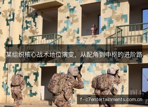 某组织核心战术地位演变，从配角到中枢的进阶路